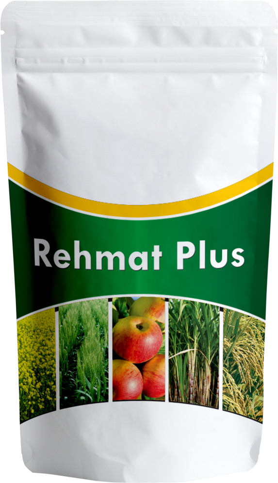 Rehmat Plus